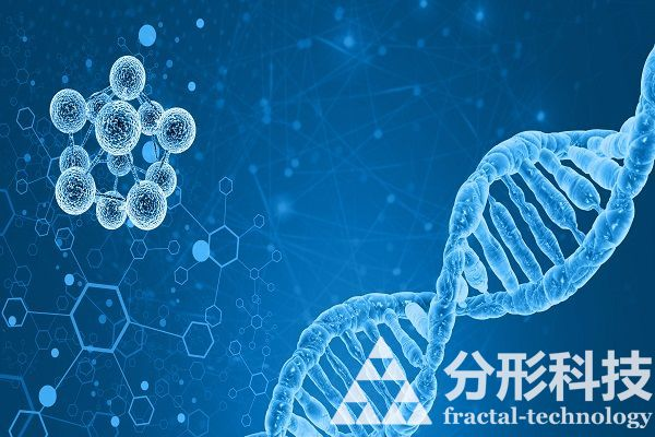 醫(yī)院網(wǎng)站建設(shè)：創(chuàng)新醫(yī)療，便捷就醫(yī)